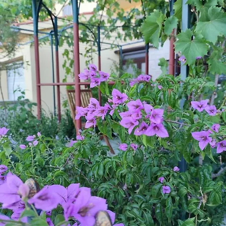Apartman Summer Time *