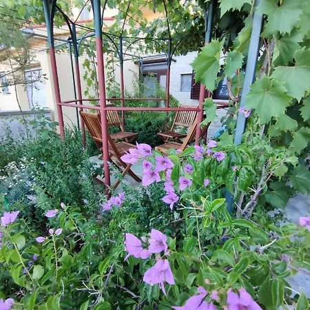 Summer Time Apartman