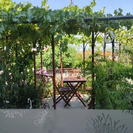 Apartment Summer Time