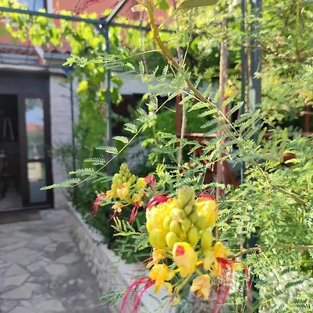 Apartment Summer Time Premantura