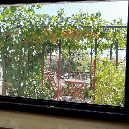 Summer Time Apartman Premantura