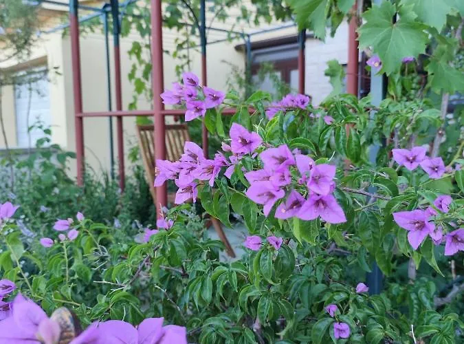 Apartmán Summer Time *