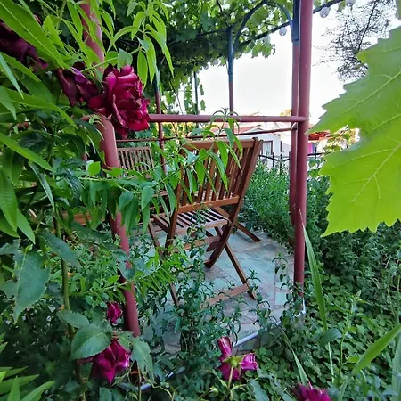 Summer Time * Премантура