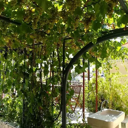 Summer Time Апартаменты