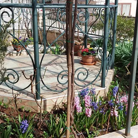 Apartment Summer Time