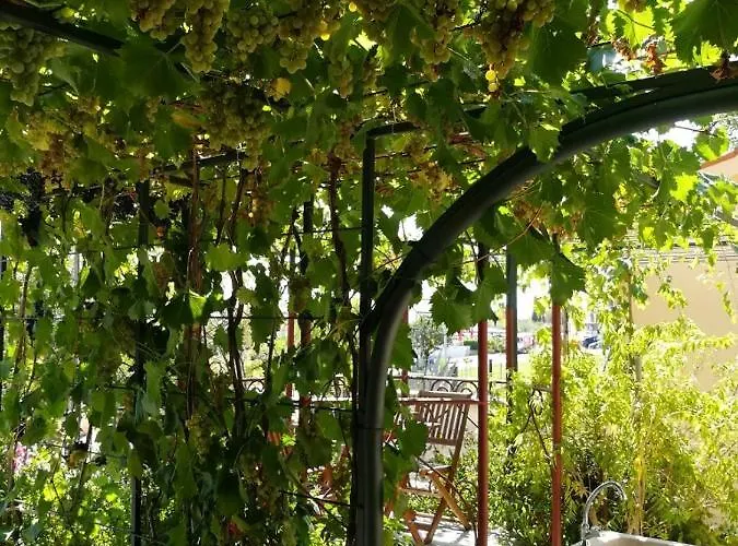 Summer Time Apartment