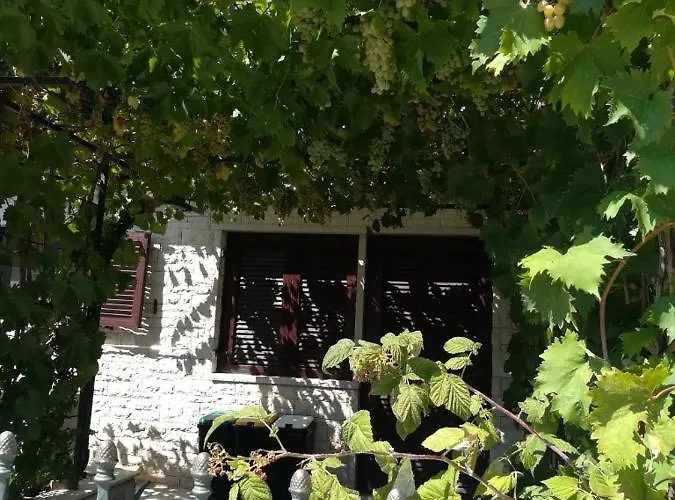 Summer Time Apartment